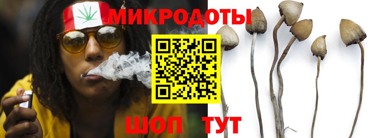 Псилоцибиновые грибы Cubensis  Вход с VPN  Карачаевск 