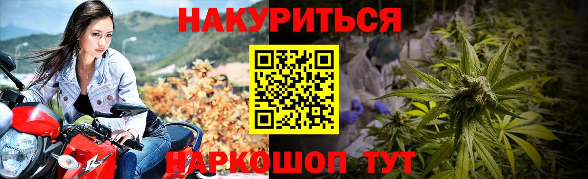 Шишки марихуана SATIVA & INDICA  Бошки Шишки семена  Вход с VPN  Карачаевск 